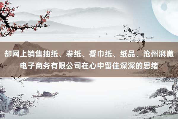 却网上销售抽纸、卷纸、餐巾纸、纸品、沧州湃澈电子商务有限公司在心中留住深深的思绪